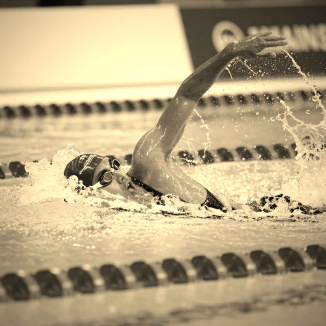 Alex Daile chốt Penn: Bản đồ bơi bướm Ivy League và khoảng trống dữ liệu 200 fly