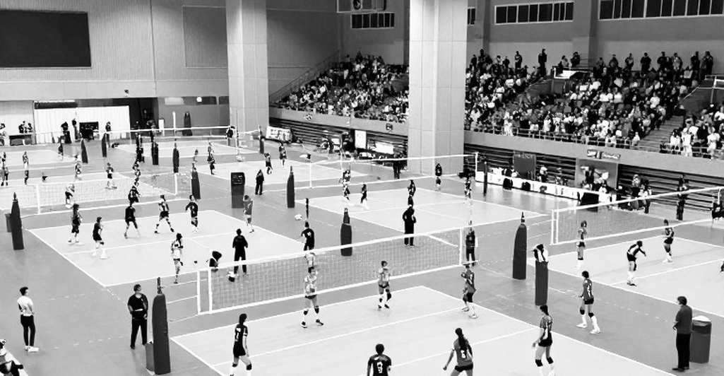 Thamela & Victoria vô địch Nam Mỹ 2026: sáu trận, không thua set nào