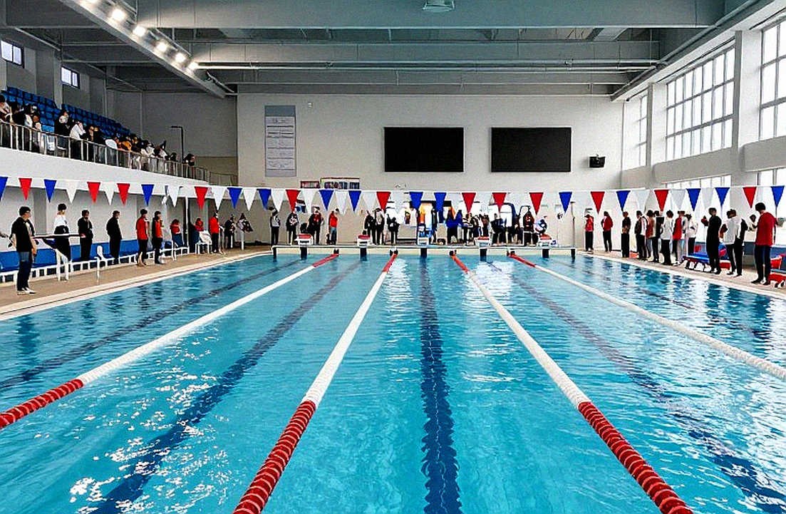 Hành lang 250 vận động viên: Sharks Swim Club và bài toán chuyển hóa chưa có lời giải